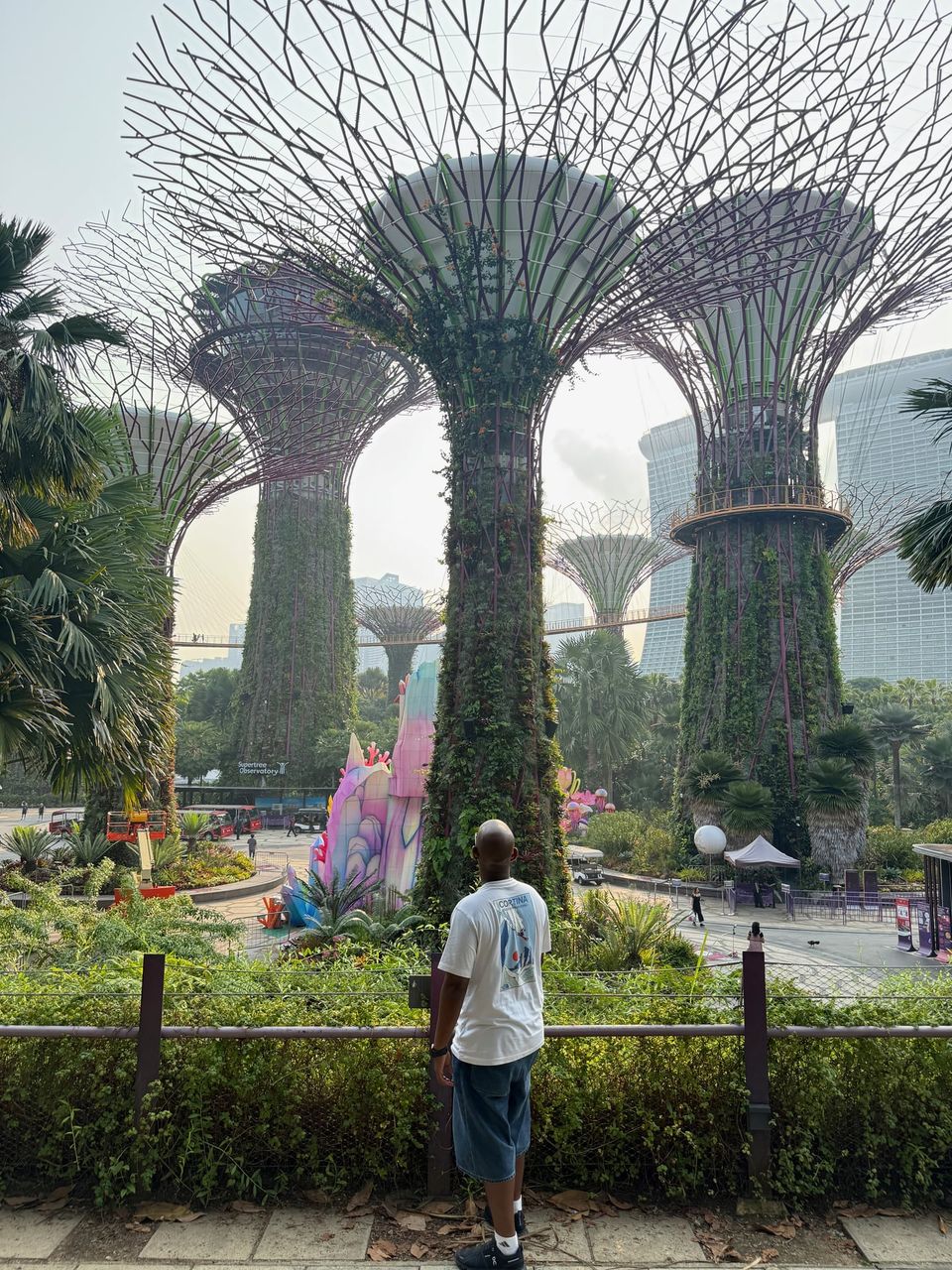 Abdul, seen from behind, looking up at the Supertree Grove at Gardens by the Bay in Singapore.